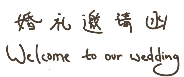 Welcome to our wedding